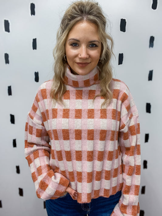 Rust Multi Turtleneck Sweater